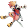 Master Sora